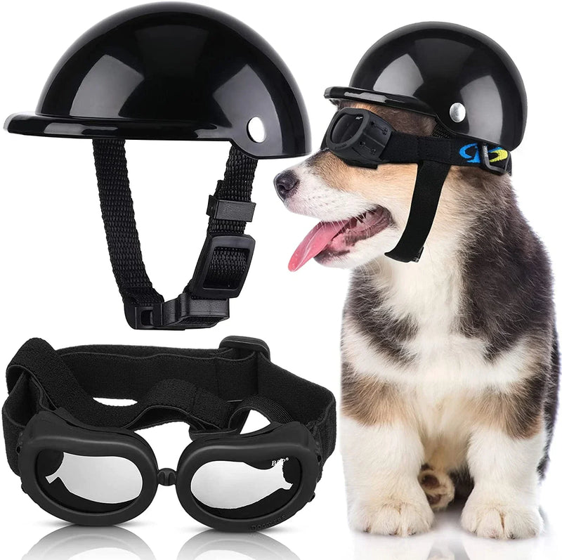 Capacete E Óculos Para Cachorros - Petit Helmet